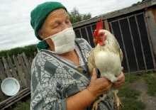 Russia -- bird flu (woman holding rooster in Omsk, 10 Aug 05)