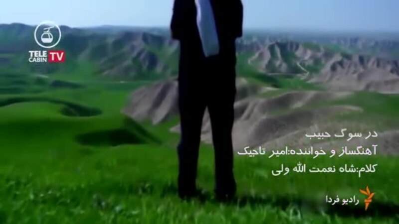 در سوگ حبیب ترانه ای از امیر تاجیک برای مرد تنهای شب