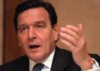 Schroeder could be on his way out (file photo)