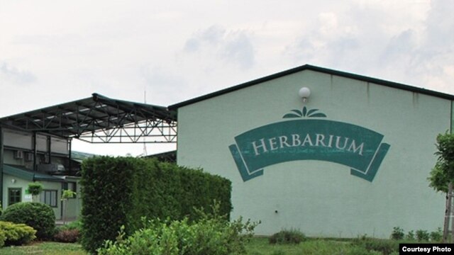 Spider grupa