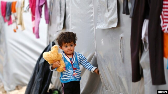 کودک کرد کوبانی که از شهر خود در سوریه آواره شده است.