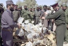 Afghanistan - drugs / trafficking - Officials prepare to set fire to over 1400kg of opium in Lashkar Gah, capital of Helmand Province 11 Sep. 2002