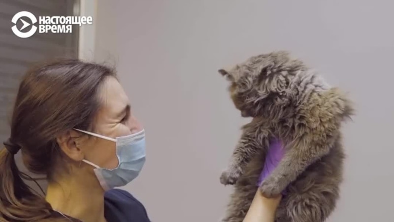  ����� ������� ��� �������� ������� ������� ����� ����� 