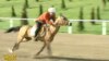 Turkmen Leader Takes Fall In Horse Race
