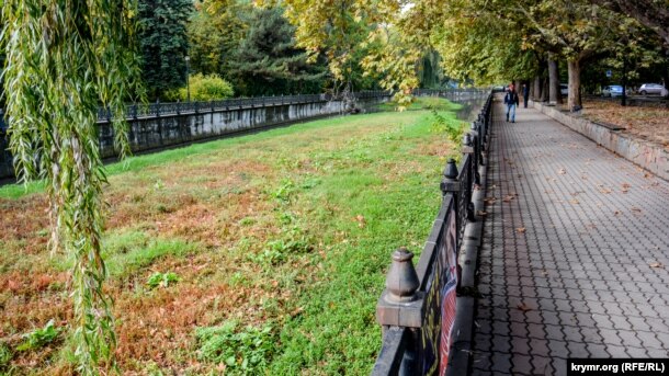 Болото вместо реки: Салгир активно зарастает зеленью [Фото] фото