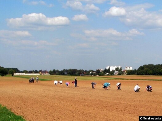 Поля НИИ 'Немчиновка' пригодятся 'Иннограду'