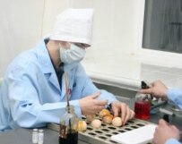 Ukrainian scientist conducting tests for bird flu, 13 January (ITAR-TASS)