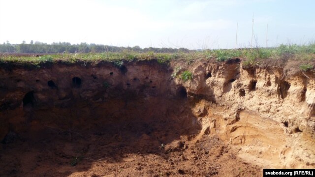Усё, што засталося ад бліндажа. У яго схілах птушкі парабілі гнёзды