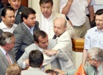 The crisis over the formation of a new government descended into scuffles in parliament on July 11 (Ukrinform)