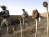 NATO Rejects Afghan Poppy Spraying