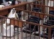 Muhammad Azzawi al-Ali sits in the Baghdad court after being acquited on November 5 (epa)