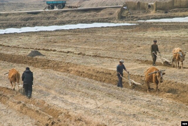 Северная Корея