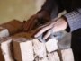 Bakıda «qul bazarı»