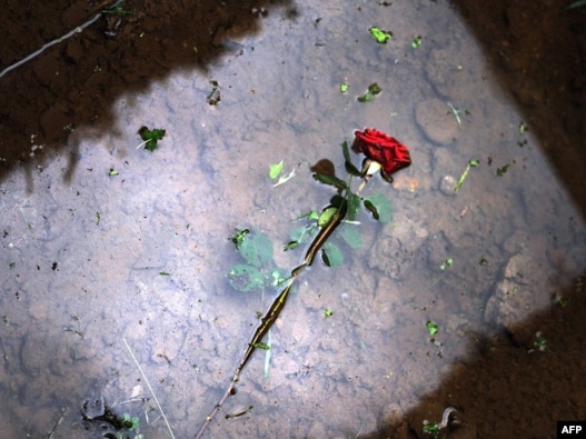 Ruža na grobu žrtve genocida u Srebrenici