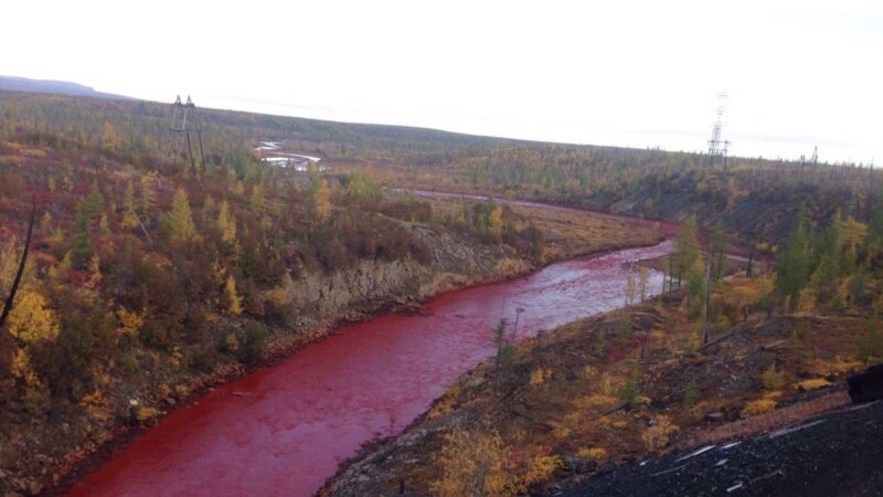 «Норникель» признал причастность к «кровавой» воде в реке 