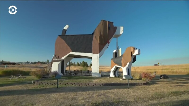  ������� ������ ����� ��������� ������� ��� 