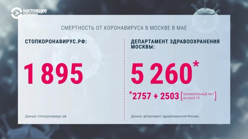  ������� ������������ ������� covid-19 ������ ������ ���������� 