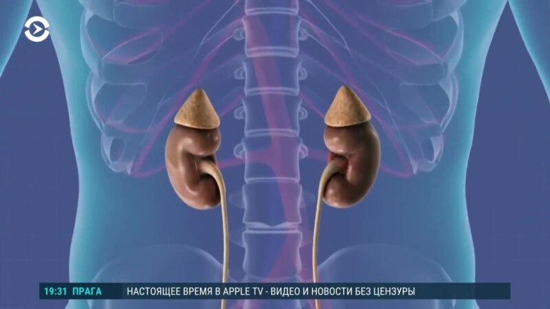  ������ ���������� ����� �������������� ����� ������� ������������� ������ 