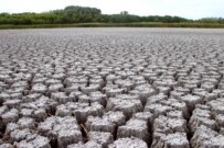 Drought in 2006 dried up this lake in Volgograd Oblast (TASS)