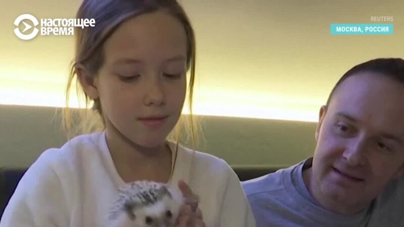  ���� ���� ��������� ���� ��������� ������ ���� 