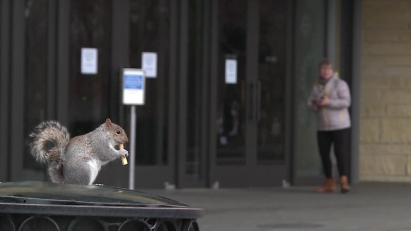 ����: rus.azatutyun.am