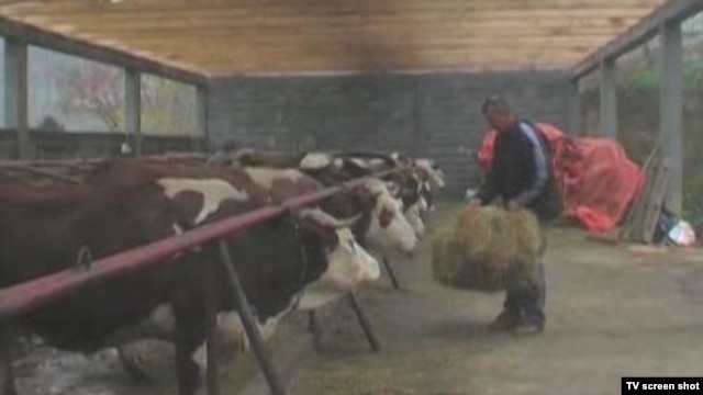 Farma obitelji Muharemagić iz Bratunca