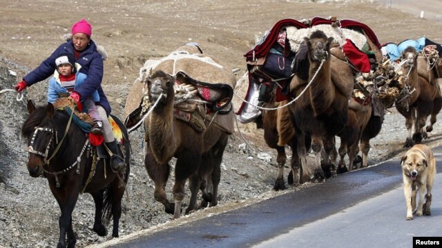 Қыстауға көшіп бара жатқан қазақ отбасы. Шыңжаң, Қытай, 23 қазан 2010 жыл. (Көрнекі сурет)