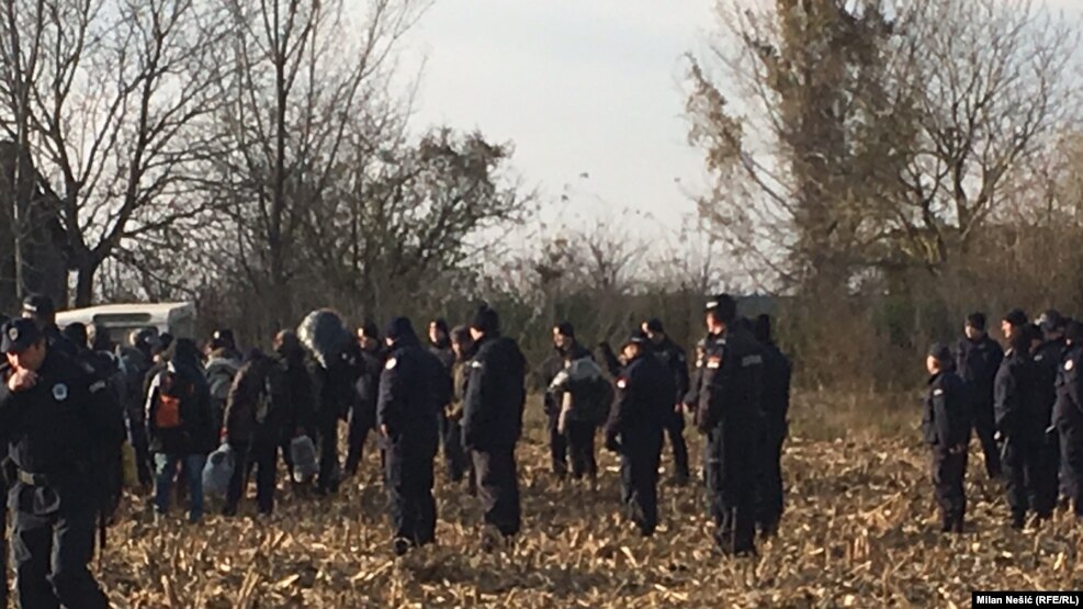 Migrants try to cross into Croatia at Sid border crossing in Serbia on November 14.