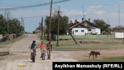 Гүлшат ауылына каникулға келген балалар. Қарағанды облысы, 4 шілде 2016 жыл.