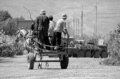 236 გიორგი კვიჟინაძე: 