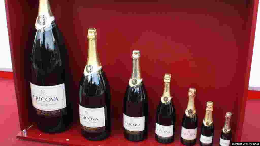 Moldova's 'National Wine Day'