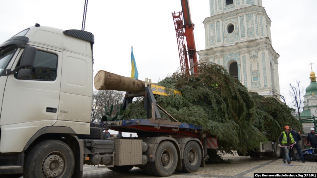 У Київ уже привезли та встановлюють головну ялинку України