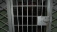 When sex offenders are offered a more lenient sentence or early release if they subject themselves to castration, rights activists say, their consent cannot be considered "free."