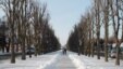 Мешканці міста активно обговорюють пропозицію мера про реконструкцію бульвару імені Тараса Шевченка