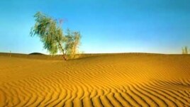Karakum Desert: not all sand and scenery