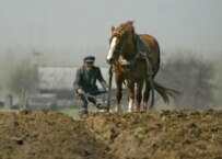 A farmer in Belarus (file photo) (epa)