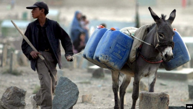 An Afghan boy guides his donkey as it carries water cans. Seventy percent of Afghans lack access to clean drinking water.
