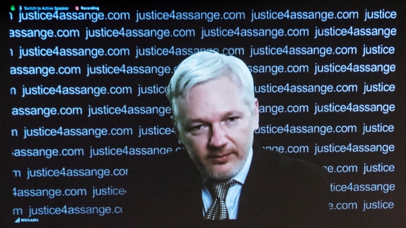   wikileaks       