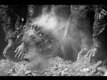 239 გიორგი კვიჟინაძე: 