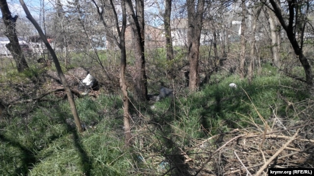 Керчинский "Казенный сад" погряз в мусоре [Фото] фото 1