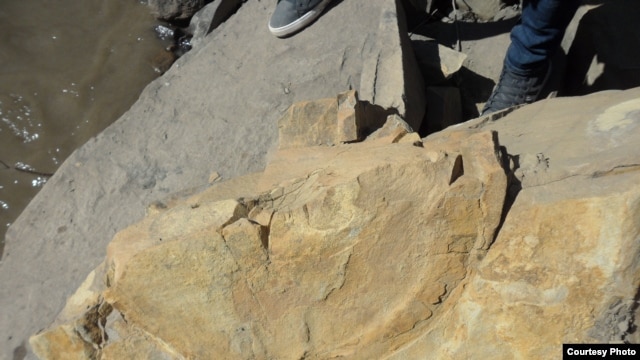 Dinosaur eggs found in the village of Hima, in the Sharoysky district of Chechnya.