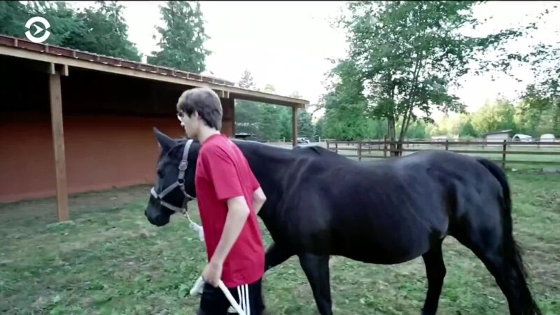  ������� ������� ��������-����������� ��� 