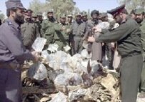 Afghan officials prepare to burn a drugs haul in Helmand Province (file photo) (AFP)