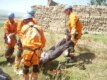 Өлтүрүлгөн жоочулар ошондой эле «Өзбекстандын ислам кыймылынын» мүчөлөрү болушу толук ыктымал.