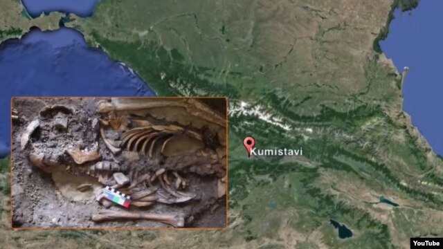  اسکلت کشف شده در قفقاز