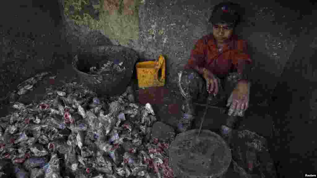 A 10-year-old Pakistani boy pauses during his work of cutting fish at Karachi's fish harbor.