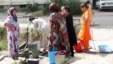 "Ҷангалбошӣ" дигар манбаи сирояти бемориҳо нест
