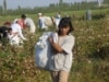 EU Textile Deal Blocked Over Uzbek Child Labor