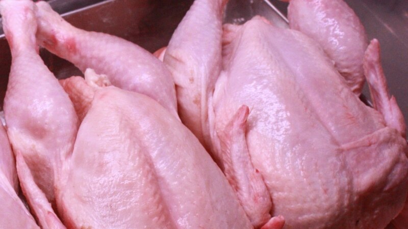Россия не пропустила в Кыргызстан партию куриного мяса из Украины 