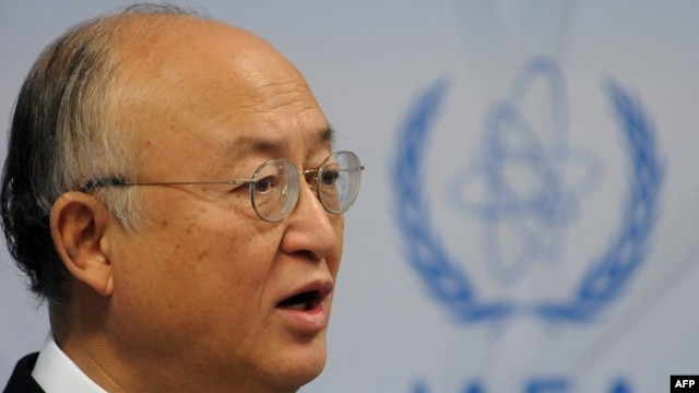 The resolution calls for IAEA Director-General Yukio Amano to report to the board in March on Iran's "implementation of this resolution."